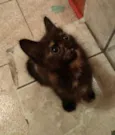 Mel