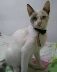 Molly