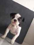Izzy