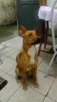 Não sei o nome
