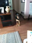 Peralta