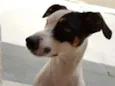 Bella