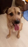 Marley