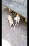 não sei