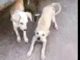 não sei