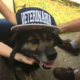 Mia