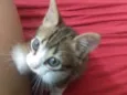Tony