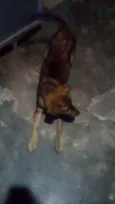 Thor e princesa