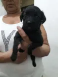 Não tem