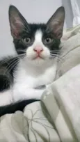 Ragnar