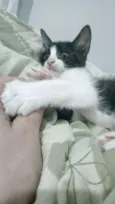 Ragnar