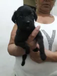 Nao definido