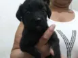 Nao definido