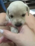 Nao definido