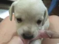 Nao definido