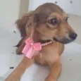 MARIANA