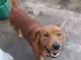 Théo