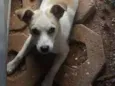 Não tem