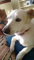 Maika