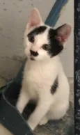 Nick