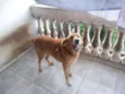 Zeider