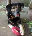 Mia