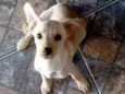 Lola