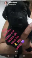 Não tem 