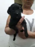 Não tem 