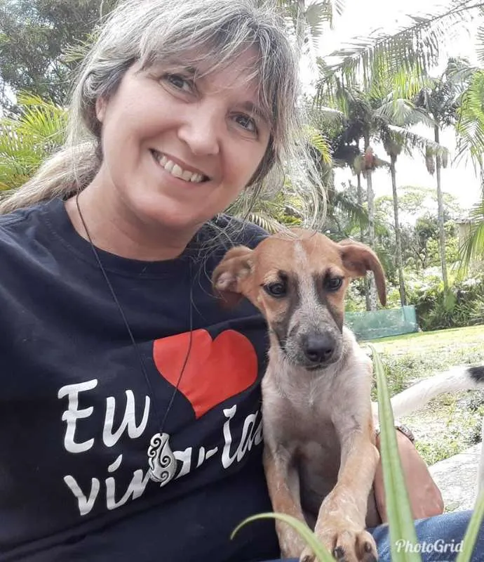 Cachorro ra a SRD idade 2 a 6 meses nome Sweet