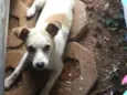 Não tem