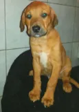 SCOOBY