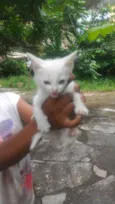 Mimi