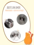 Sem nome