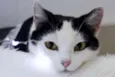 Catharina