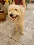 bolinha