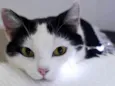 Catharina
