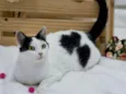 Catharina