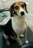 Tito 