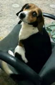 Tito 