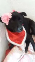 Tina