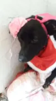 Tina