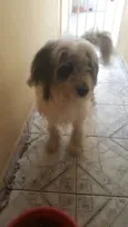 Mel