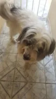 Mel
