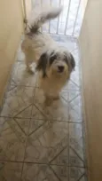Mel