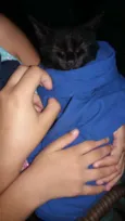 Esmeralda