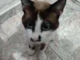 Kurt