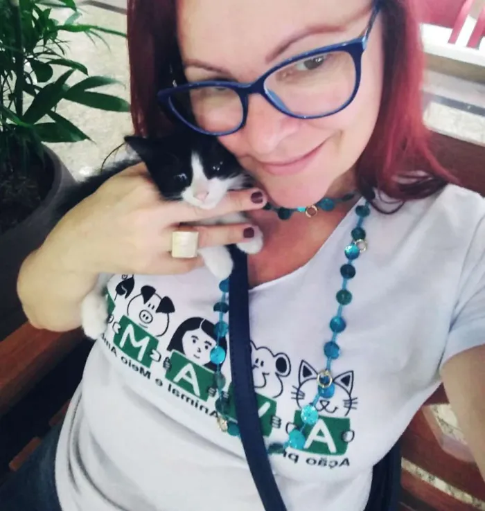 Gato ra a Srd idade Abaixo de 2 meses nome Frajolas