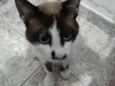 Kurt