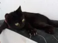 Esmeralda
